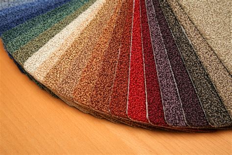 Snapdragon: The Future of Carpet Design